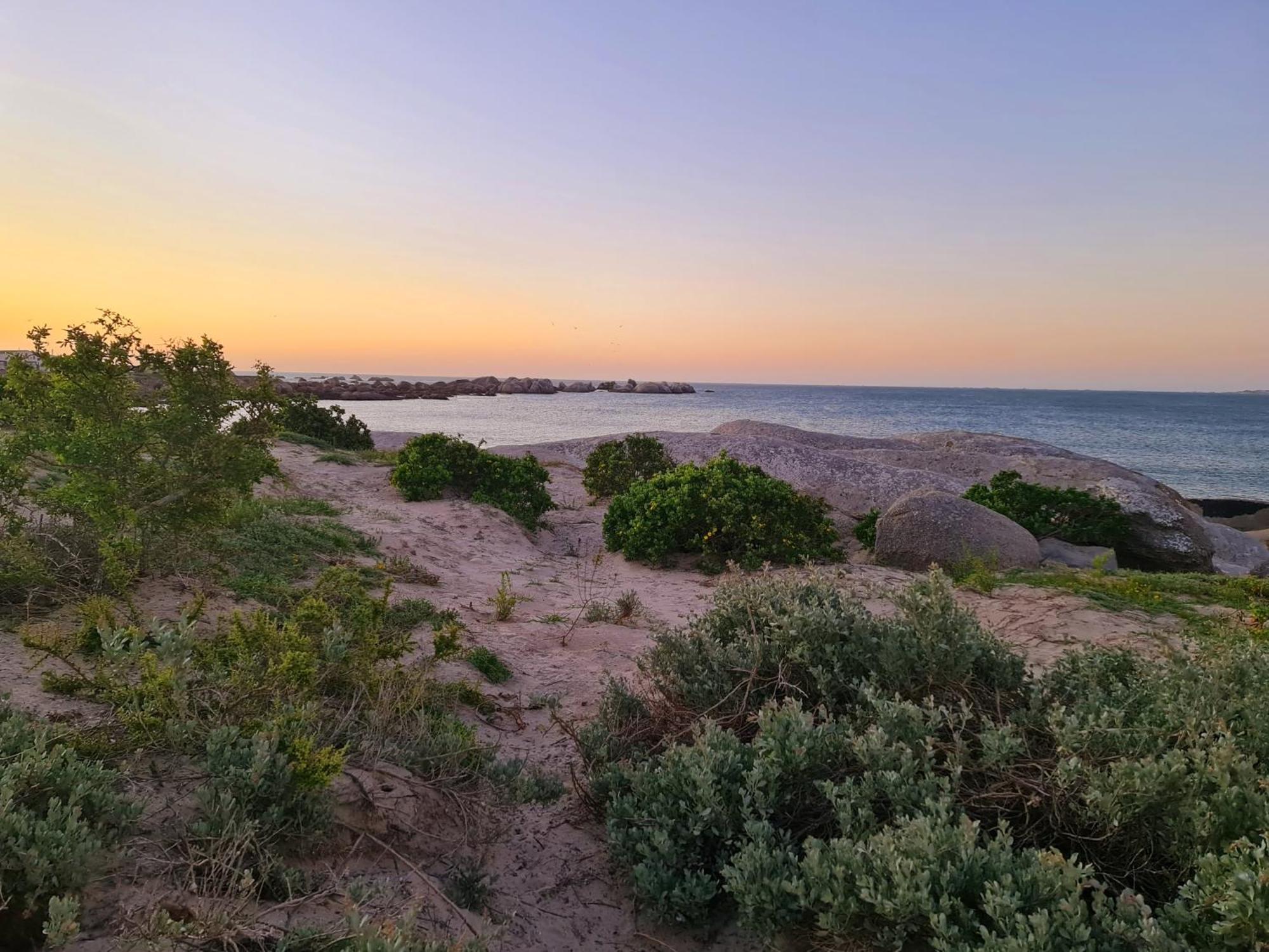 Flamink Beach View Cottage In פטרנוסטר מראה חיצוני תמונה